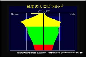 2050年の人口ピラミッド