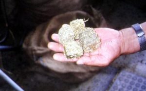 小さな固形飼料ではストレスがたまる