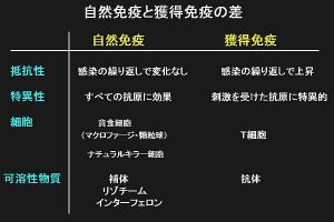 自然免疫と獲得免疫の差
