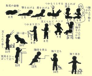 子供が独り歩きするまでの図