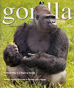 “ココ”の愛称を持つゴリラ