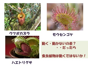 mailmagazin2_20140808