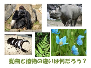 mailmagazin_20140808