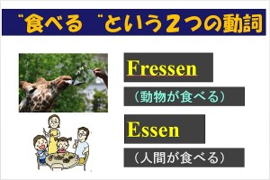 岡崎先生_20150105