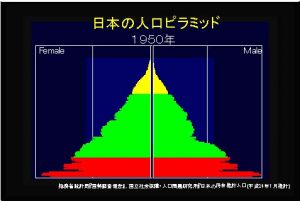 1950年 人口ピラミッド