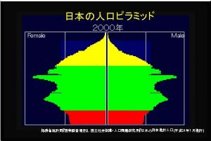 2000年 人口ピラミッド
